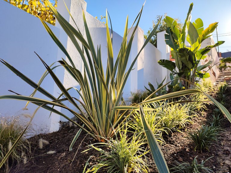 castelledefels montmar detail 1 garden project 768x576