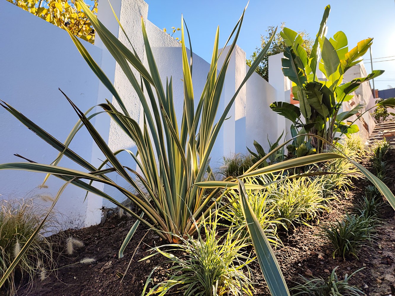 castelledefels montmar detail 1 garden project