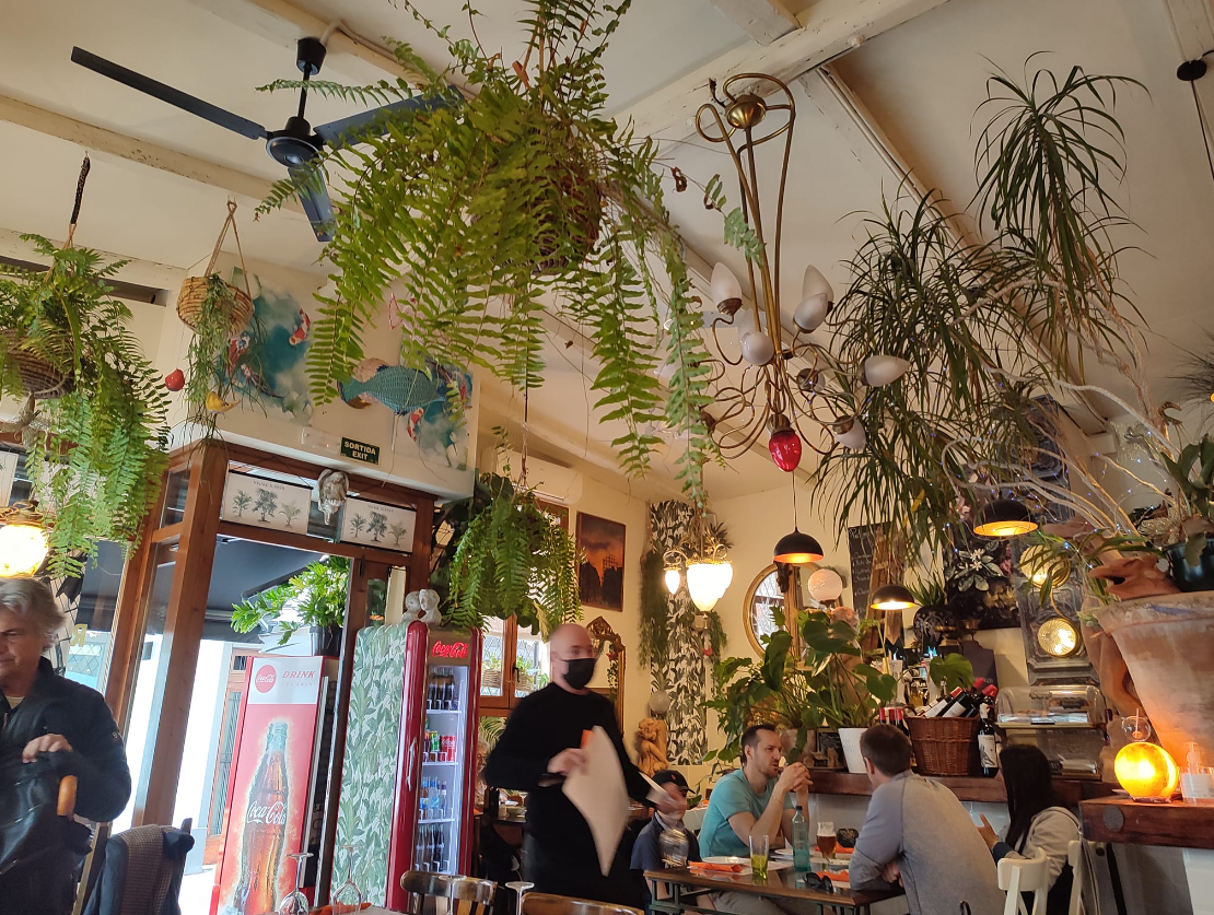 Screenshot 2023 12 20 at 11.45.41