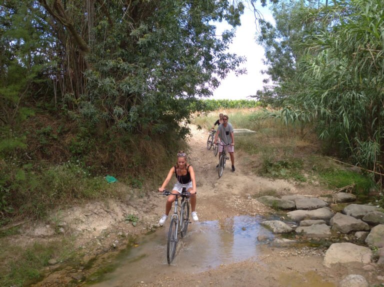 Easy Cycling Sitges DayTours 768x574