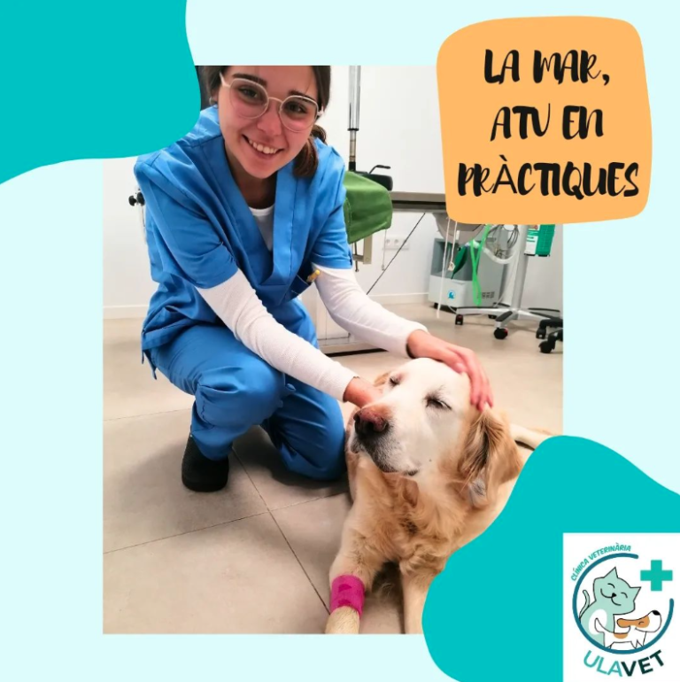 Screenshot 2024 01 07 at 13.51.50 768x770