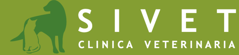 Screenshot 2024 01 07 at 16.16.56 768x179