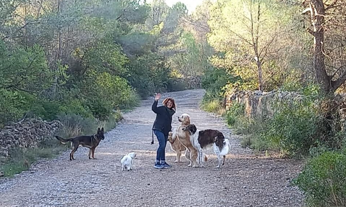 Screenshot 2024 01 27 131525