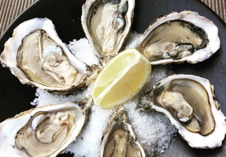 Screenshot 2024 01 31 at 19.01.46 768x535