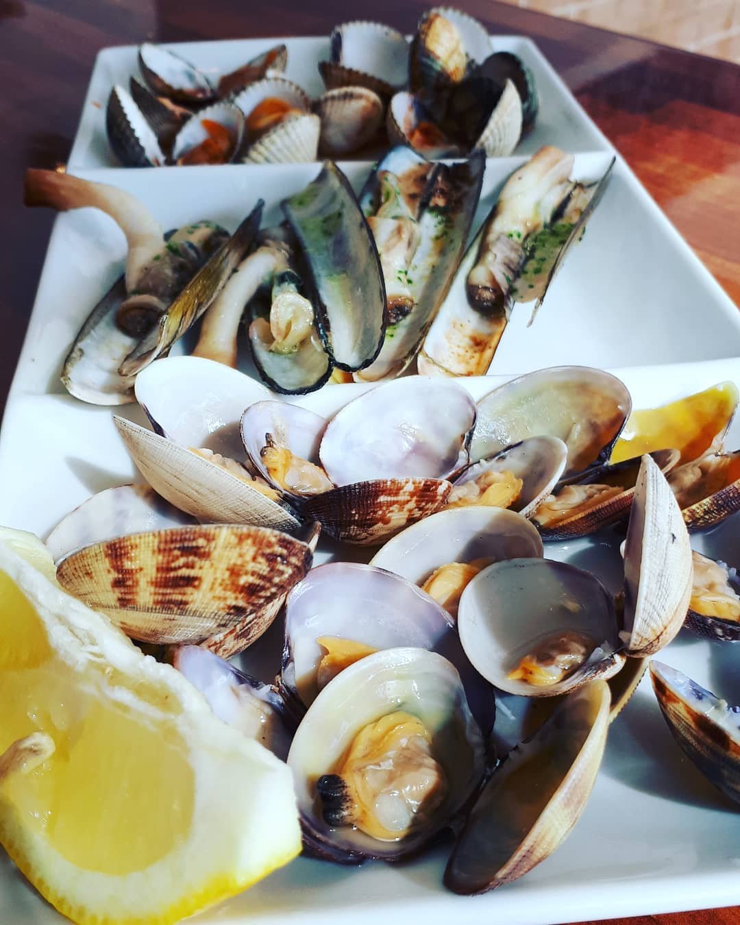 165068807 234288788433188 3127954342787829911 n