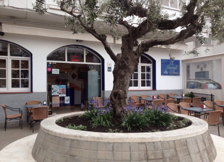 Screenshot 2024 02 04 at 10.37.53 768x554