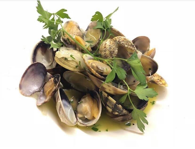 79131243 2148998775200957 5427364646547881984 n