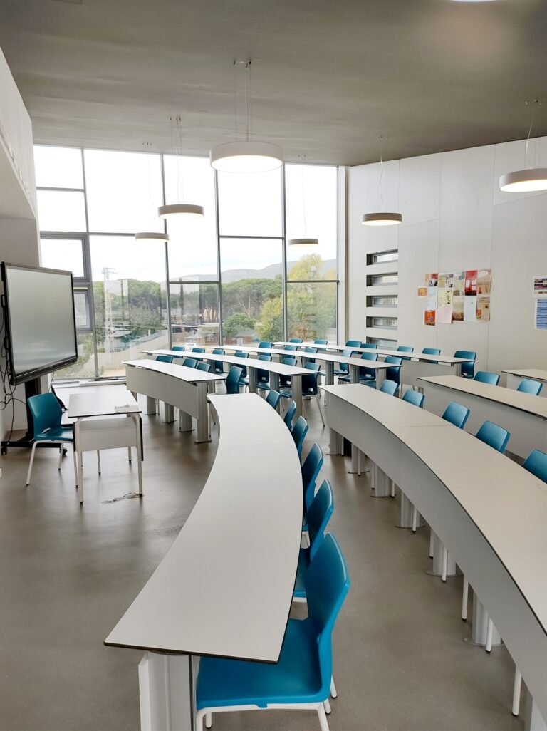 IMG 20221117 101323915 HDR  scaled 1 768x1026