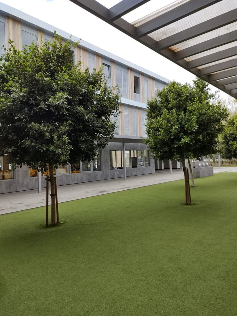 IMG 20221117 121552699 HDR scaled 1 768x1026