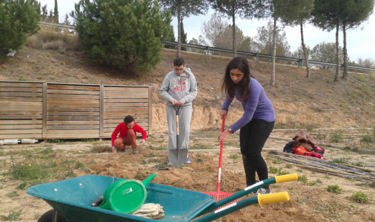 Screenshot 2024 03 16 at 09.26.52 768x456