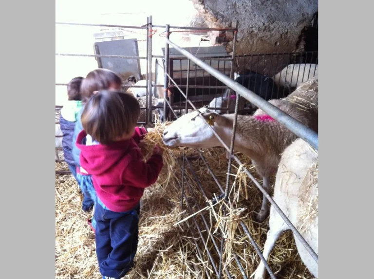 img 20121129 wa0004 768x574