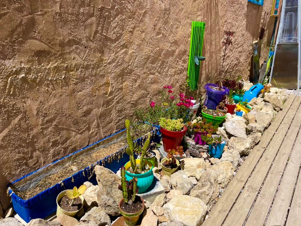 438160059 10161549297499134 4151716527362647245 n