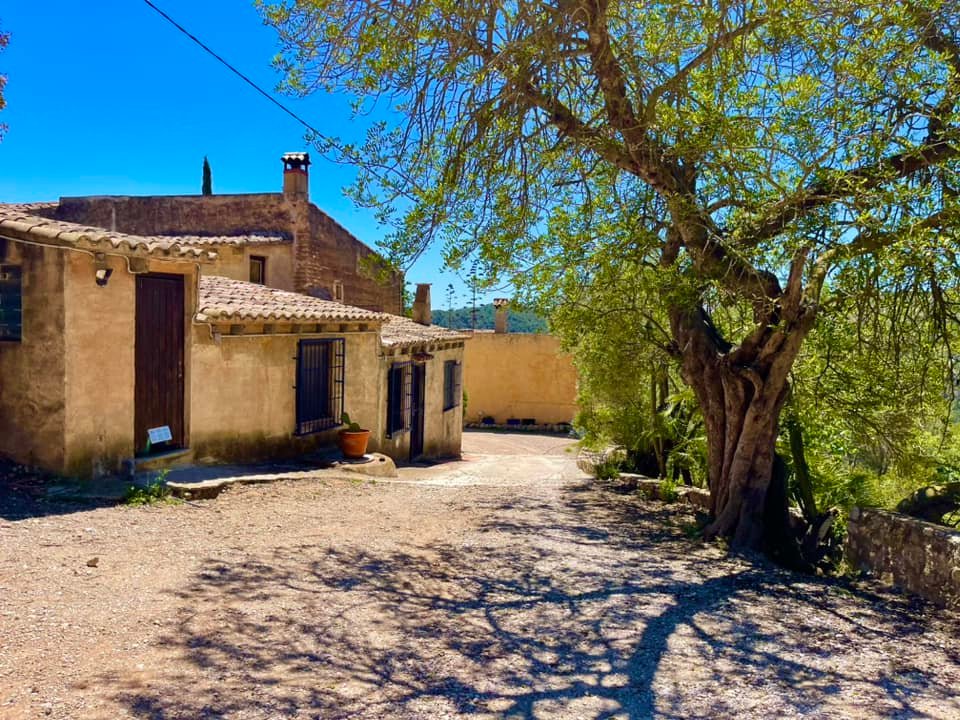 438172667 10161549297799134 985531117260571186 n