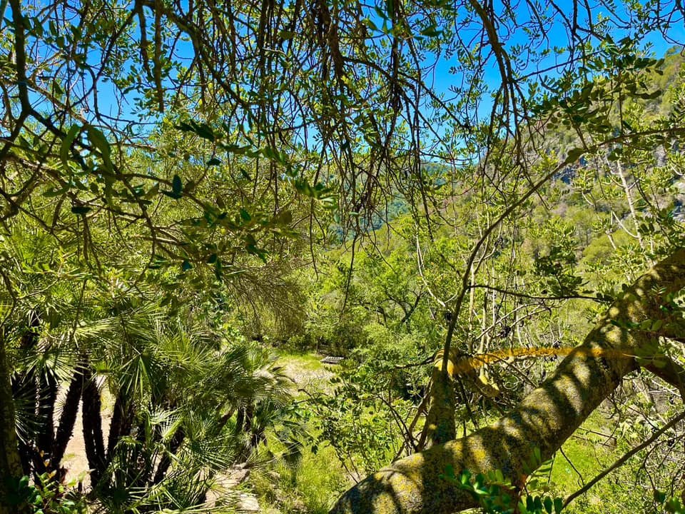 441148130 10161549297709134 3856451008218875730 n