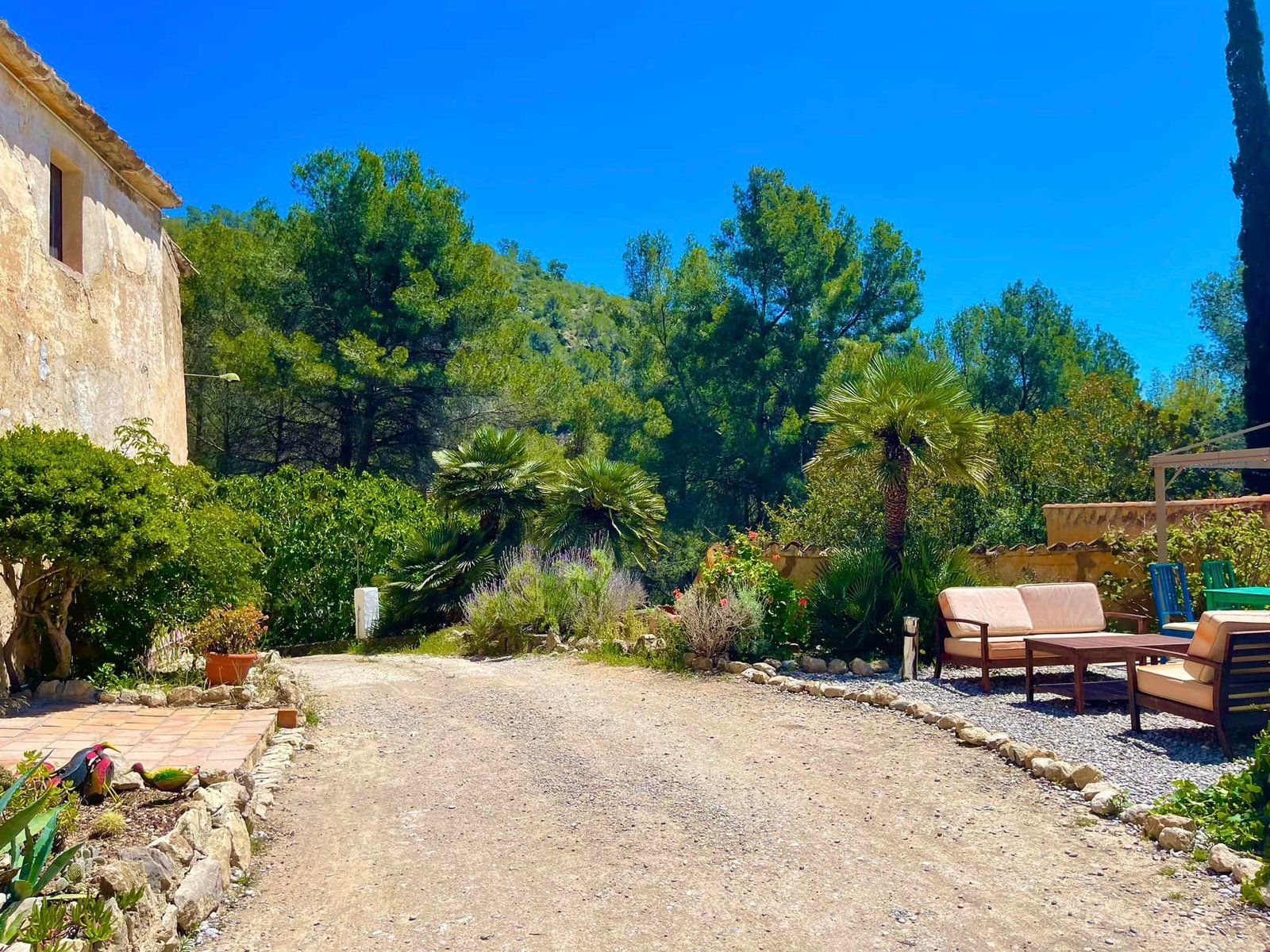 441692696 10161549300734134 4057137480930072631 n