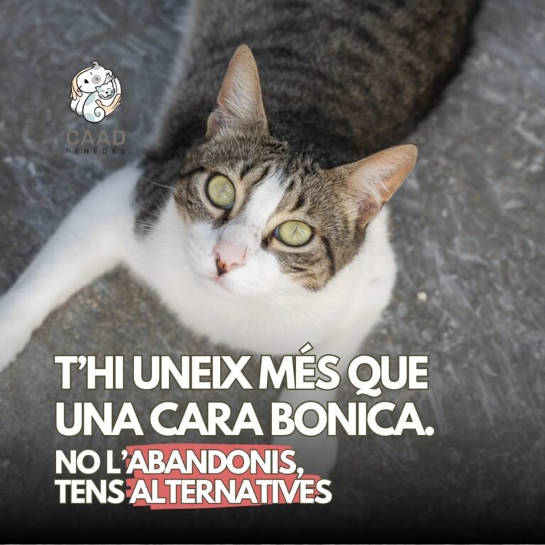 449785142 878361241002131 2976768932913756417 n 768x768