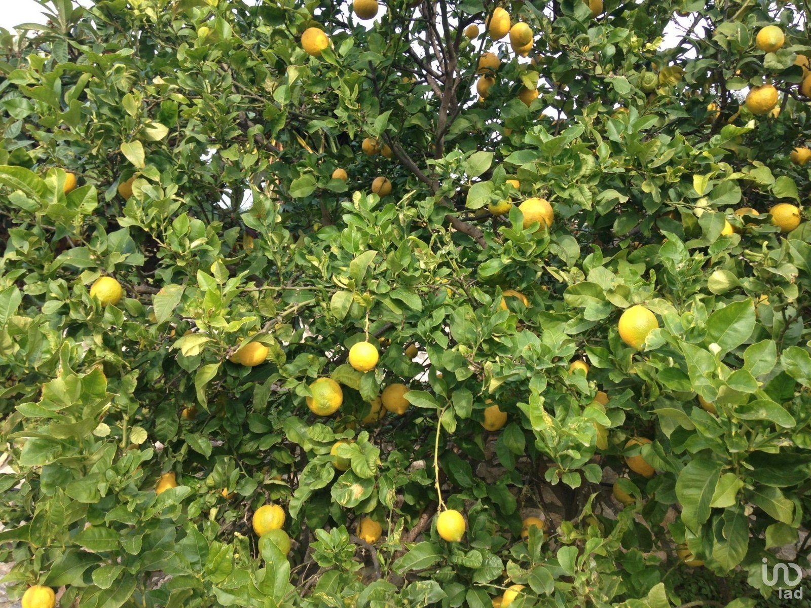 casa 10 sitges 950 126963 1920w 22