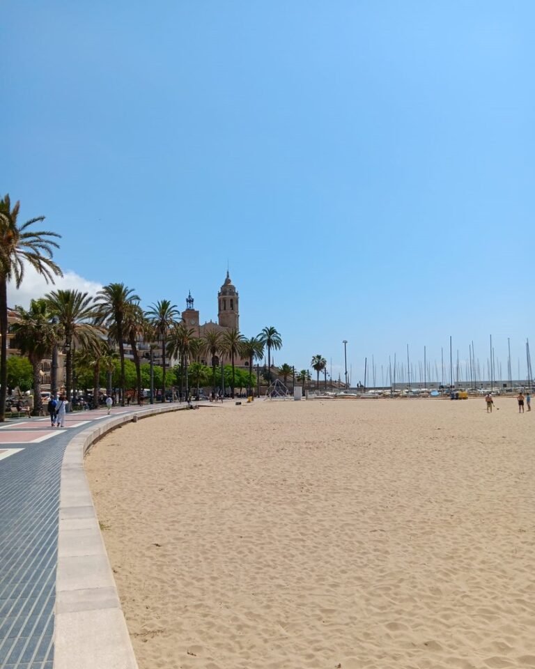 95e530dc 676f 4b03 8522 9651d7d635d2 768x960