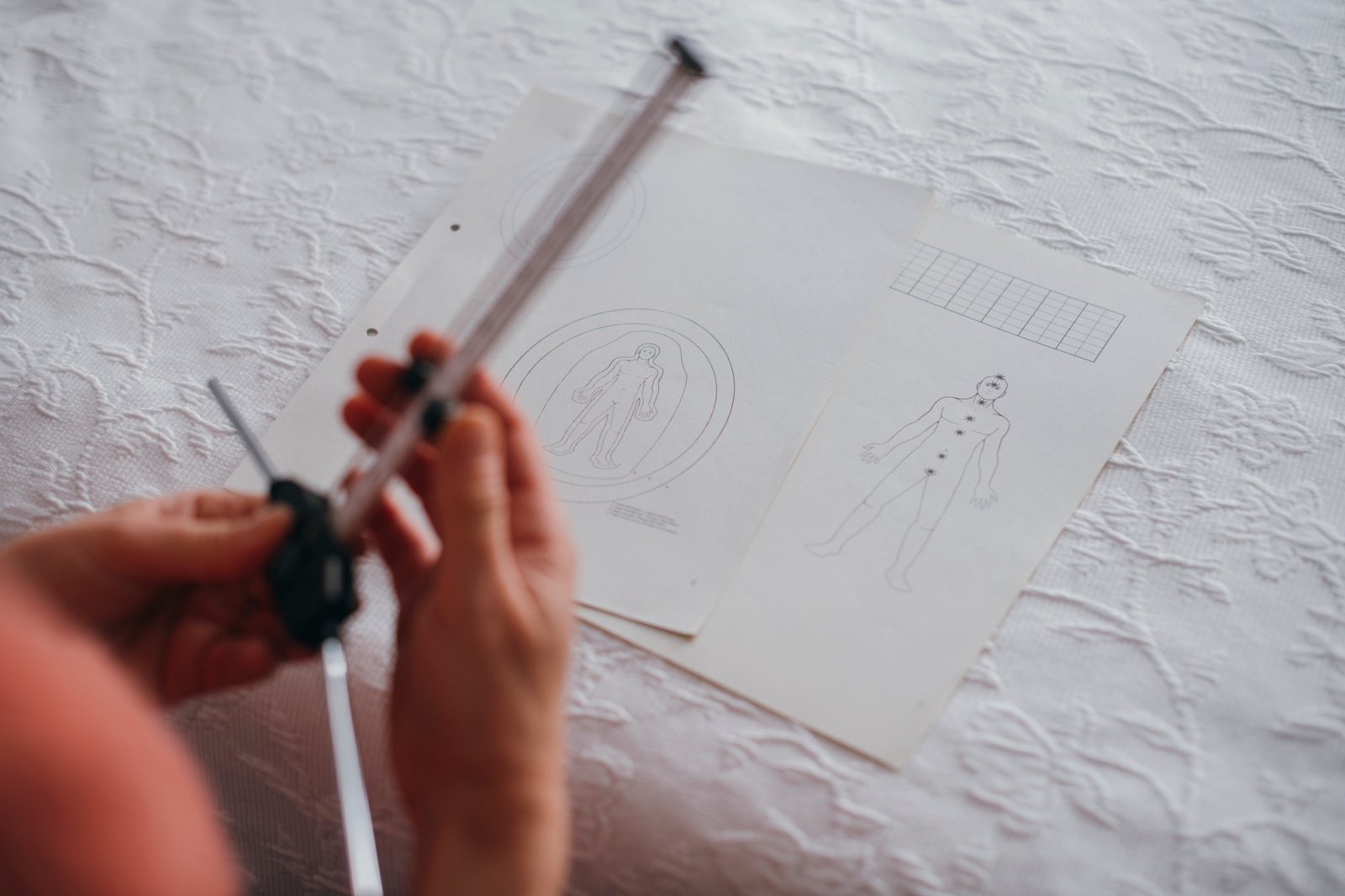 Ariane sanacion consulta 2024 17 1